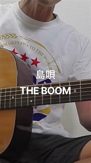 島唄/ THE BOOM 弾き語りカバー #島唄 #theboom #弾き語り #ギター #あおだい