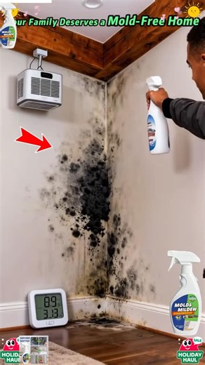 Home Inspiration Hacks on Instagram: "Direct link:👇🏽🔗🛍️ https://materialbuildsafe.com/products/highly-effective-mould-removal-spray Link in @materialbuildsafe bio 👆✨ This Mould Removal Spray wiped out every black spot in my bathroom — no scrubbing, no strong smell, just fresh, clean walls again! 👇🏽 Direct link: https://materialbuildsafe.com/products/highly-effective-mould-removal-spray #cleanhome #moldremover"