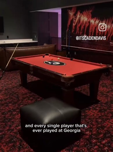 Georgia Bulldogs: A Look into College Football Glory