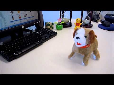 Flip Over Dog - Sparky