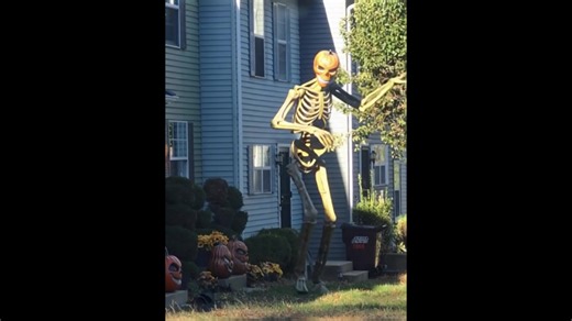🎃“Halloween--The Tall Skeleton & The Tiny Pumpkins”🎃 Let's have some fun, can you compete with Skelly Dance :-) ... | CW Caroline Brown