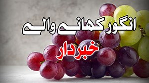 Angoor Khane Ke Fayde | Grape Benefits | Mehrban Ali l #Angoor #Grapes #Fayde #Sehat #MehrbanAli #Healthy #FruitBenefits #Natural #Wellness #Vitamin #Immunity #Shifa #Herbal #Nutrition #Urdu Apni Marzi ke Rishte Hasil Krain Free Registration Shadi Form https://mehrbanshadi.com WhatsApp : 92 301 35 111 36 WhatsApp : 92 310 31 111 36 Shamsi Jafari Saadat Ki Khandani Adviyat Free Delivery https://mehrbanshifa.com WhatsApp : 92 300 15 222 92 WhatsApp : 92 311 22 999 75 #MehrbanShadiDaftar #Rishta #s