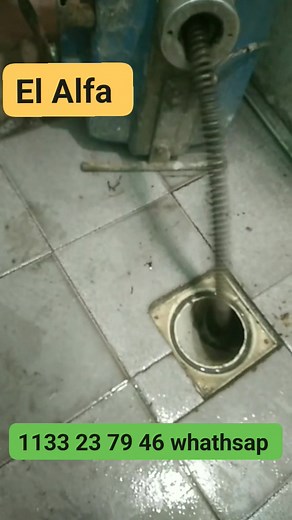 El Alfa destapamos en el dia. | El Alfa
