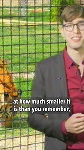 88K views · 644 reactions | Visiting your hometown be like... #collegehumor #comedy | CollegeHumor | Facebook