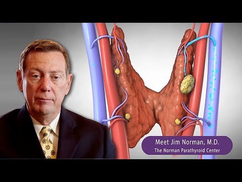 Leading Parathyroid Surgeon Educates Millions Using Medical Animation