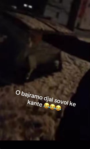 Bajramo Djal: Enjoying Balkan Humor on TikTok