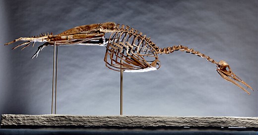 What can a dinosaur’s inner ear tell us? Just listen