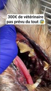 One small detail changes everything... I wish I'd known that sooner 😮‍💨