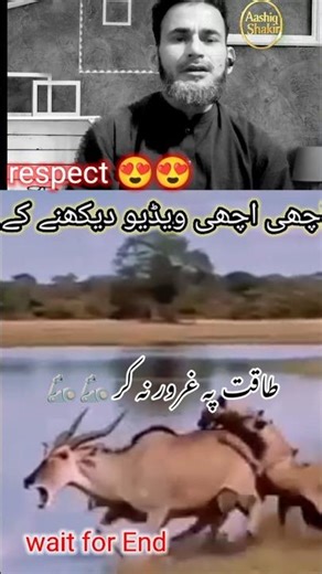 #ashiqshakir #shortsfeed