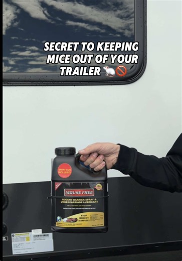 Mouse Proof Your Trailer: Winter Prep You Can’t Skip