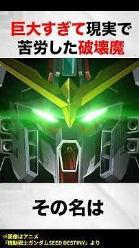 The Destruction Demon Too Huge to Handle in Reality【Gundam SEED DESTINY 】