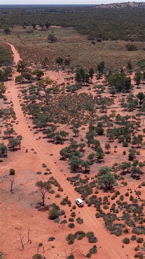 This spectacular outback landscape is NSW's newest national park 🤩 Located in Western NSW between Ivanhoe and Cobar, Tasman and Corinya Stations are home to an abundance of wildlife and significant Aboriginal cultural heritage. Once open, the park will have opportunities to explore and stay. This addition to NSW National Parks and Wildlife Service was made possible with the assistance of The Nature Conservancy Australia and a generation donation from The Wyss Foundation 💚 | NSW Department of C