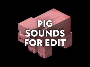 Minecraft Pig Sound Effects for Editing 🔊