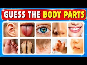 Guess the Body Parts👂| Body Part Names👃 | Parts of Body for Kids | General Knowledge Quiz for kids