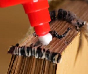 Vibrant hand-crafted notebook made using ancient technique! | 5-Minute Crafts Like