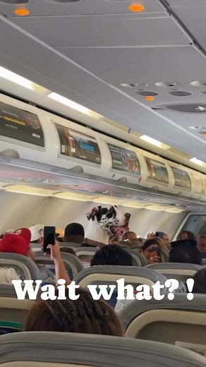 Can you believe this? #fypシ゚viralシ #facebookreelsvideo #foryoupageシ #foryoupageシ #foryouシ #facebookreel #fyp #crew | Tarus Collison