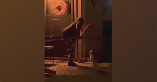 Dallas police investigating disturbing video of dog being beaten