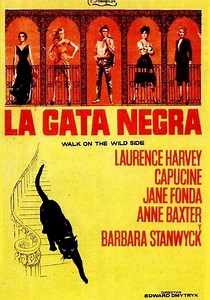 La gata negra - película: Ver online en español