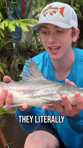 He thought it was just another giant catfish until he realized he had caught a man-eating monster