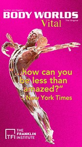 See the human body like never before at BODY WORLDS: Vital! This must-see exhibition features 20 full-body plastinates and over 150 real anatomical specimens, offering a rare glimpse inside the human form. 🟢Life-size plastinates in action 🟢Fascinating real human specimens 🟢Engaging multimedia displays Don’t just take our word for it—see it for yourself! Get your tickets today. | The Franklin Institute