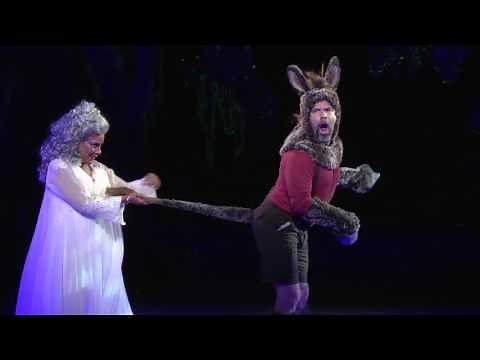 Scenes from A MIDSUMMER NIGHT'S DREAM