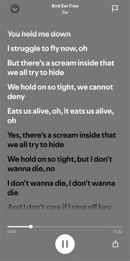 Bird set free ~ Sia #fyp #foryoupage #lyric #sia