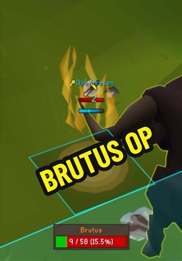 Experience New Cow OP in Old School RuneScape!