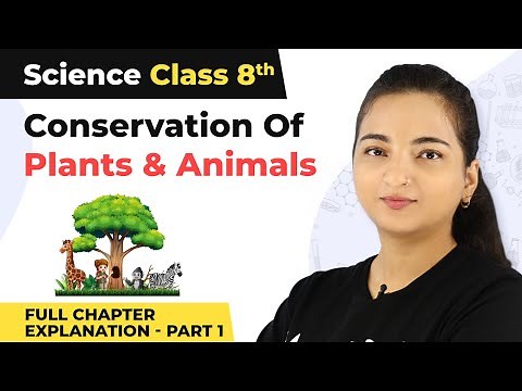 Class 8 Science Chapter 7 | Conservation Of Plants And Animals Full Chapter Explanation (Part 1)