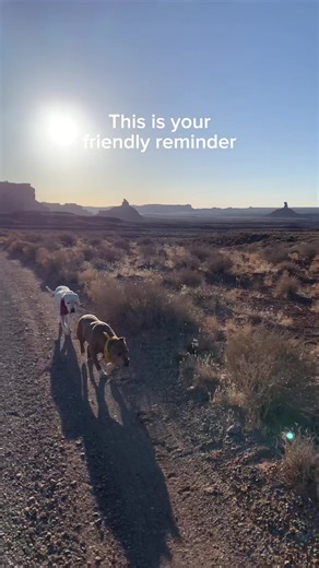 First aid kits! If you don’t have one, get one. If you have one, check expiration dates and get new items as needed. I found a few small medication/ointment sets online for just a few dollars to replace those that were (way!) out of date. I keep a kit in each vehicle and one in my hiking pack. My first aid kit for hiking is from @REI. Some of the extras I’ve added for the dogs: ⛑️ rubber booties ⛑️ multitool ⛑️ self-adhesive wrap ⛑️ dog-safe meds ⛑️ stypic powder ⛑️ carry out harness In the van 