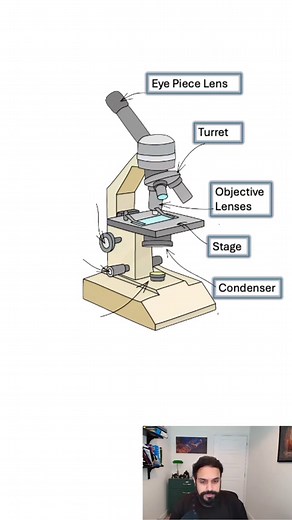 Light Microscopes (GCSE Biology) #scienceteacher #stemtok #secondaryschool #microscopes #sciencetuition
