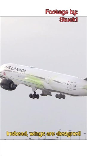 Why Aircraft Wings Don't Snap Off? 😲