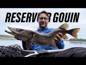 RESERVOIR GOUIN: Fishing and Camping Adventure in the GORGEOUS Quebec Backcountry