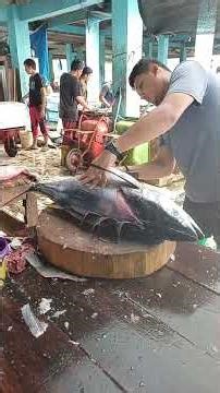 Tuna cutting expert in action cutting large tuna for culinary purposes #short #fish #food #amazing
