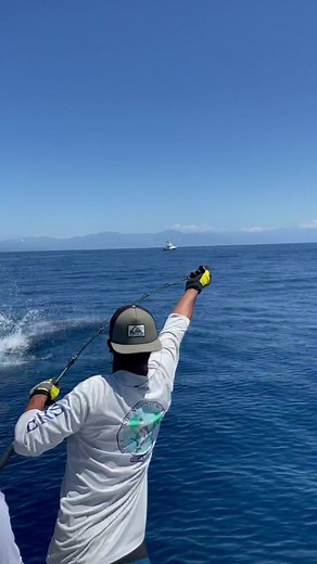 Marlin Madness: Reeling in the Ultimate Catch Experience