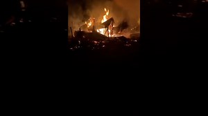 Video: Dozens of dogs burn alive after Molotov cocktails burn down shelter for abandoned pets