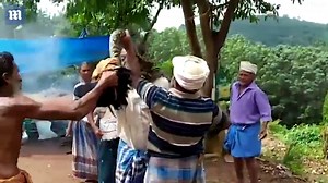 Indian builder saved after wild python wraps itself around his neck