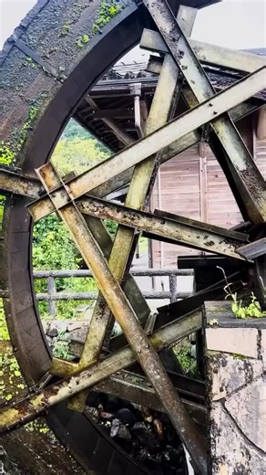 【新見市公式】新ハッ見！みんなのにいみ愛♡ on Instagram: "💚 From @kibi_niimi_i_channel さん ”いただきます！新見🍚親子孫水車 こんにちは、吉備ケーブルテレビ 奥津です。 今回いただいたのは、こだわりの卵かけごはん。 正直、「日本一の親子孫水車で、1日半もかけて丁寧に精米したごはん」って、もうそれだけで反則じゃないですか？ そこに平飼い鶏のぷるぷる濃厚卵、仕上げに上品な風味の黄ニラだし醤油！もうおいしそう過ぎて、原稿を書いているだけでしんどいです💦 ぜひみなさんも至福の一杯を親子孫水車で味わってくださいね！ 【親子孫水車】 @oyakomagosuisya 岡山県新見市神郷下神代1977-1 0867-92-6577 📢中四国・関西のケーブルテレビでも順次放送中❗️エリア内での放送はこちらのアカウントでお知らせします。フォローしてチェックしてね ▶︎ @kibi_niimi_i_channel #新見市 #神郷 #グルメ #吉備ケーブルテレビ #ぐるぐる中四国関西 #いただきます