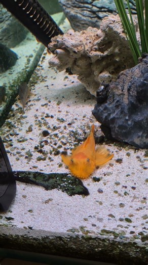 M17 #서울식물원