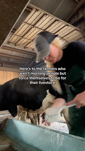 56_I see you #morningroutine #morningperson #morning | family farmlife