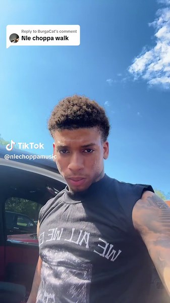 Replying to @BurgaCat w🚶‍♂️ | nle