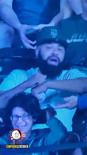 Baseball Stolen from Elderly Man at Mets Game