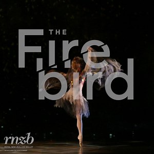 75 reactions · 4 comments | Experience The Firebird up close from the comfort of your living room. Unstoppable physicality direct from stage to screen. | Royal New Zealand Ballet | Facebook
