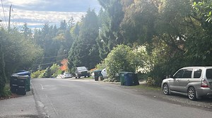 Residents of typically quiet Seattle neighborhood concerned by recent string of car prowls