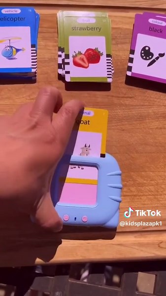 Talking Flash Card Educational Game Set for Preschoolers