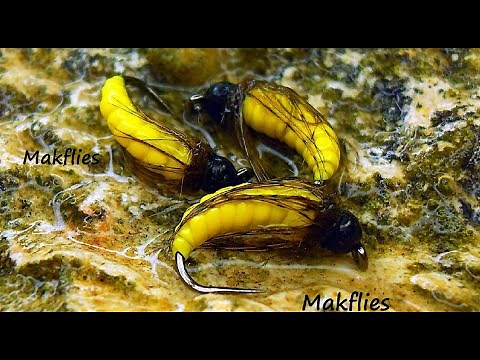 Fly Tying a Caddis Larva by Mak