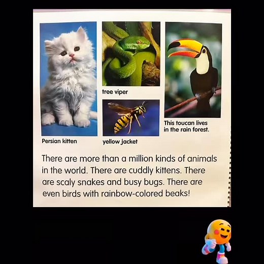 Moms support from Mister Boots!!! Today is Wildlife Wednesday with Mister Boots! Pull the little ones up to see & learn about some awesome wildlife!!! #misterbootsthenaptimeshow #nature #wildlife #detroitkids #heymisterboots #toddlermom | Eric Boone