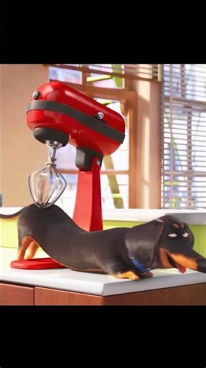 Dachshund Left Alone in the Kitchen | Secret Life of Pets