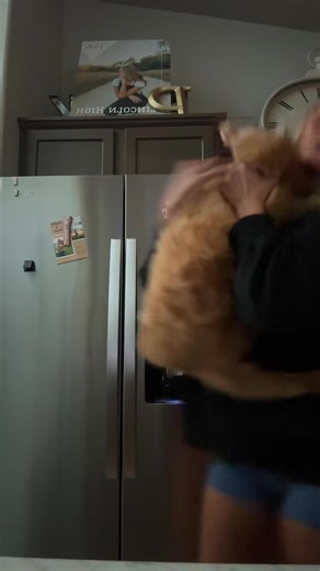 my lil garfield #fypシ #fatcat #barbie | i want a barbie original video