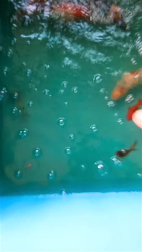 ALBARA_62 (@albara62)’s videos with original sound - ALBARA_62