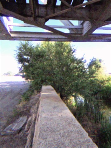 semsem (@se.msem) adlı kullanıcının getting out of bed at night - monkey experiment ile oluşturduğu videoları